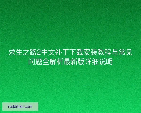 求生之路2中文补丁下载安装教程与常见问题全解析最新版详细说明